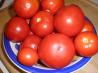 Oven Roasted Tomato Sauce