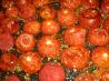 Oven Roasted Tomato Sauce
