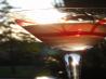 Mexican Cosmo