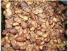 Sugar - Spiced Nuts