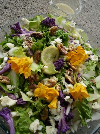 Chicory-Endive Roquefort  and Walnut Salad. Photo by Cookgirl