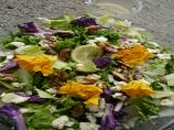 Chicory-Endive Roquefort  and Walnut Salad