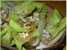 Chicory-Endive Roquefort  and Walnut Salad
