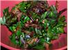 Beet Greens With Caramelized Onions