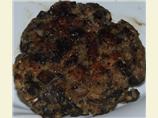 Mushroom Burger