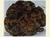 Mushroom Burger