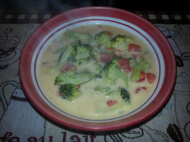 Weight Watchers Broccoli Cheese Soup - 2 Pts Per Cup. Photo by Sturren