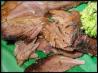 Kalua Pig in a Slow Cooker