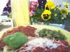 Chef Flower's Cheat Chicken Parmigiana