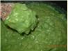 Irish "matter of Fact Peas" (Mushy Peas)