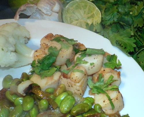 Scallops With Cilantro and Lime (Jack Nicholson). Photo by Bergy