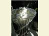 Sunny Irishman. Recipe by cookiedog