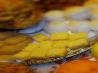 Lemon Coconut Bars