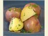 Herbed New Potatoes (Adapted from the Barefoot Contessa)