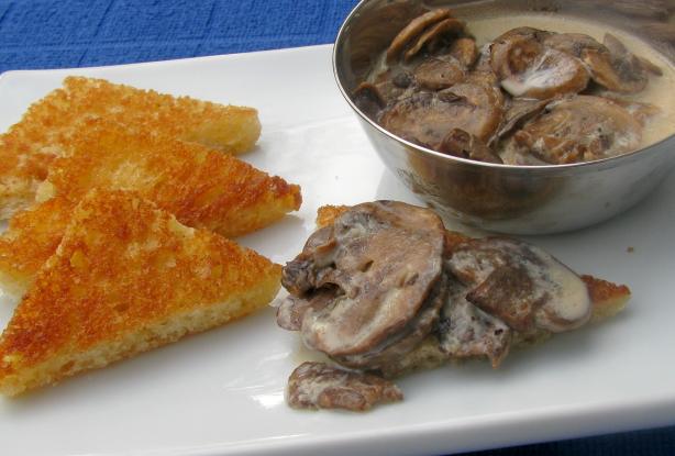 Mushrooms in Cream. Photo by lazyme