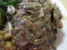 Mushrooms in Cream