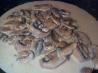 Mushrooms in Cream