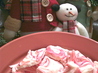 Mccormick's Peppermint Bark