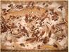 Brown Sugar-Pecan Coffee Cake. Recipe by Juenessa
