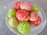 Italian Anise Cookies With Icing and Sprinkles