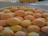 Italian Anise Cookies With Icing and Sprinkles