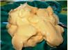 Rouille - French Cayenne Pepper, Saffron and Garlic Mayonnaise