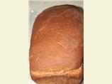Basic 100% Whole Wheat Bread