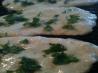 Naan Bread