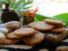 African Ginger Cake