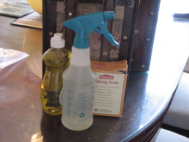 Pet Stain/Odor Remover - for Carpet. Photo by Bonnie G #2