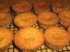 Basic Cupcakes