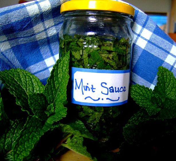 Mint Sauce, Cape Style. Photo by Zurie