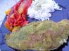 Herb Crusted Fish Fillets
