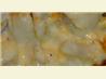 Traditional English Cheddar Cauliflower Cheese - Gratin