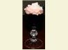 Eskimo Kiss Layered Shot