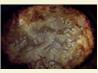 Crock Pot Lasagna