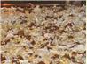 Hello Dolly Bars