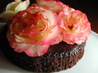 Ultra Choc-Chip Cake