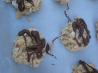 White Chocolate Drops. Recipe by AlwaysHungry