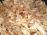 Carnitas