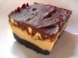 Chocolate Peanut Fudge Bars (Midwest)