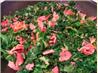 Bacon, Kale and Leeks