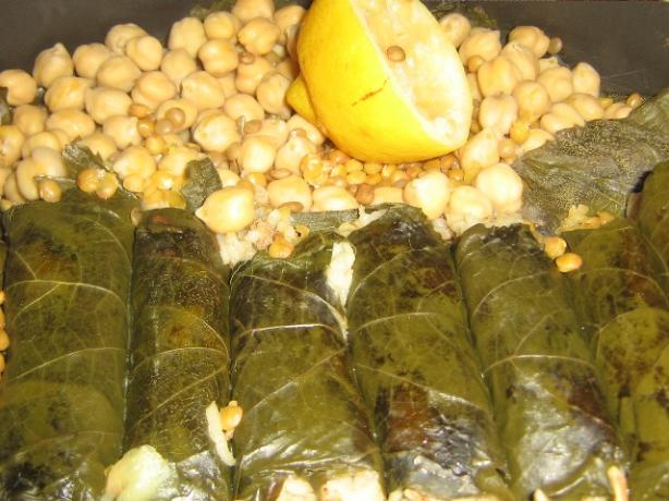 Stuffed Grape Leaves (Dolmades). Photo by Jamilahs_Kitchen