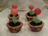 Lollipop Flower Pots. Photo by Nimita Patel