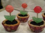 Lollipop Flower Pots. Photo by Nimita Patel