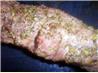 Tuscan Pork Loin