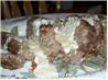 Elvis Presley's Cheeseburger Meatloaf and Cheese Sauce