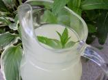 Mint Limeade