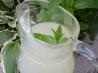 Mint Limeade