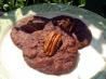 Czech Chocolate Pecan Cookies. Recipe by Lainey6605